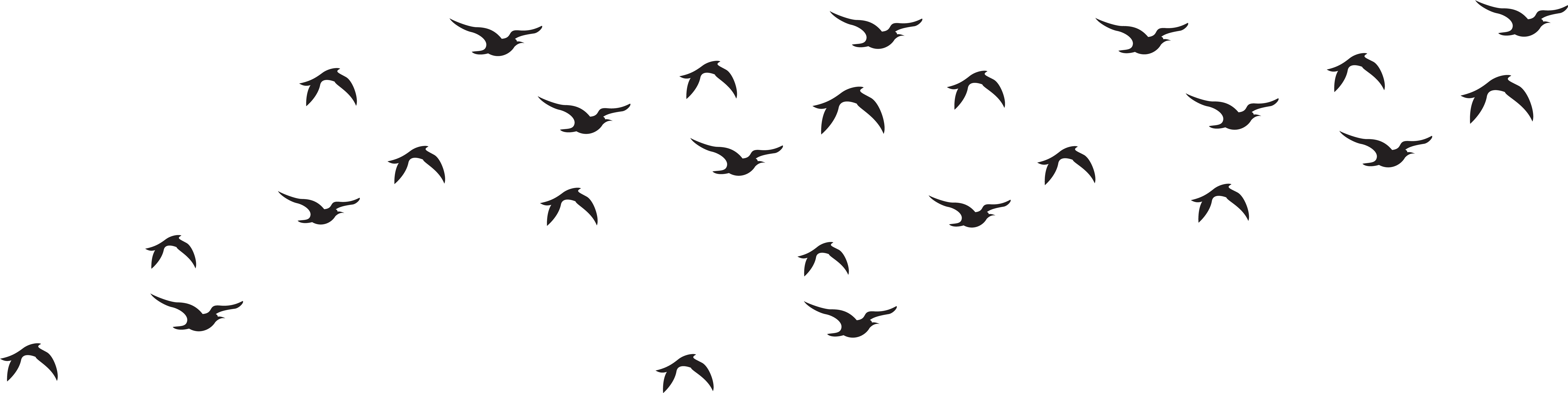 Detail Birds No Background Nomer 44