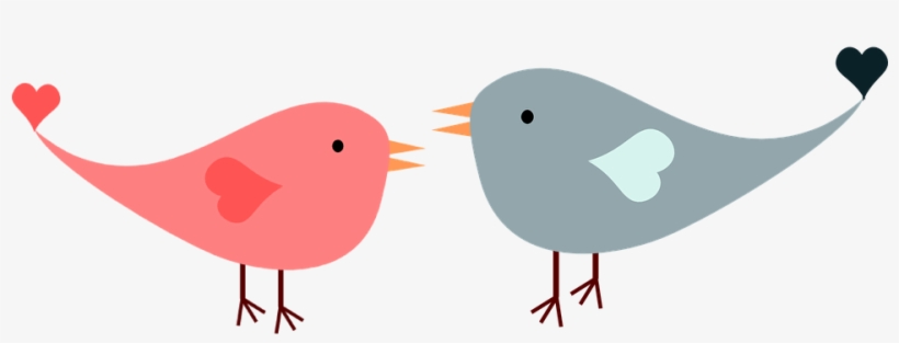 Detail Birds No Background Nomer 50