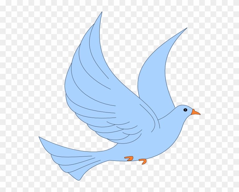 Detail Birds No Background Nomer 7