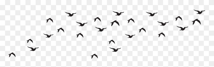 Detail Birds Png Images Nomer 19