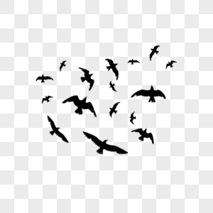 Detail Birds Png Transparent Nomer 18