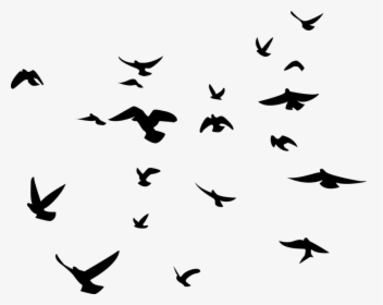 Detail Birds Silhouette Png Nomer 2