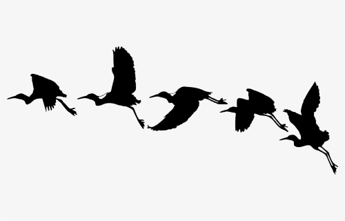 Detail Birds Silhouette Png Nomer 10