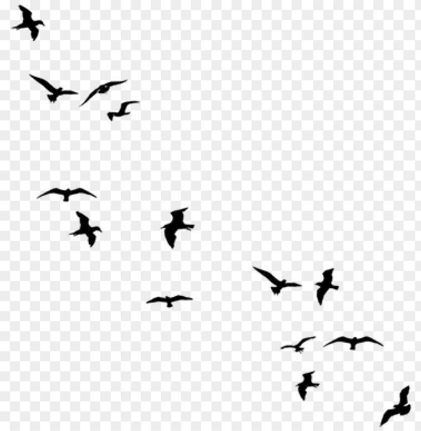 Detail Birds Silhouette Png Nomer 4