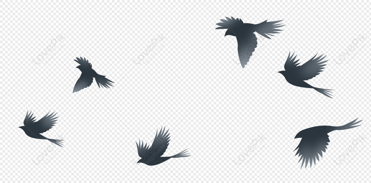 Detail Birds Silhouette Png Nomer 42