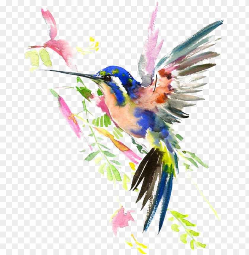 Detail Birds Transparent Background Nomer 45