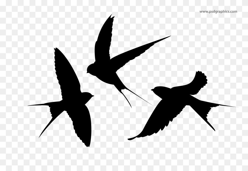 Detail Birds Vector Png Nomer 18