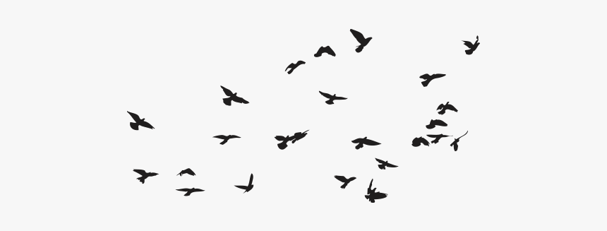 Detail Birds Vector Png Nomer 25