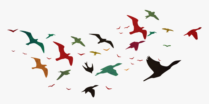 Detail Birds Vector Png Nomer 5