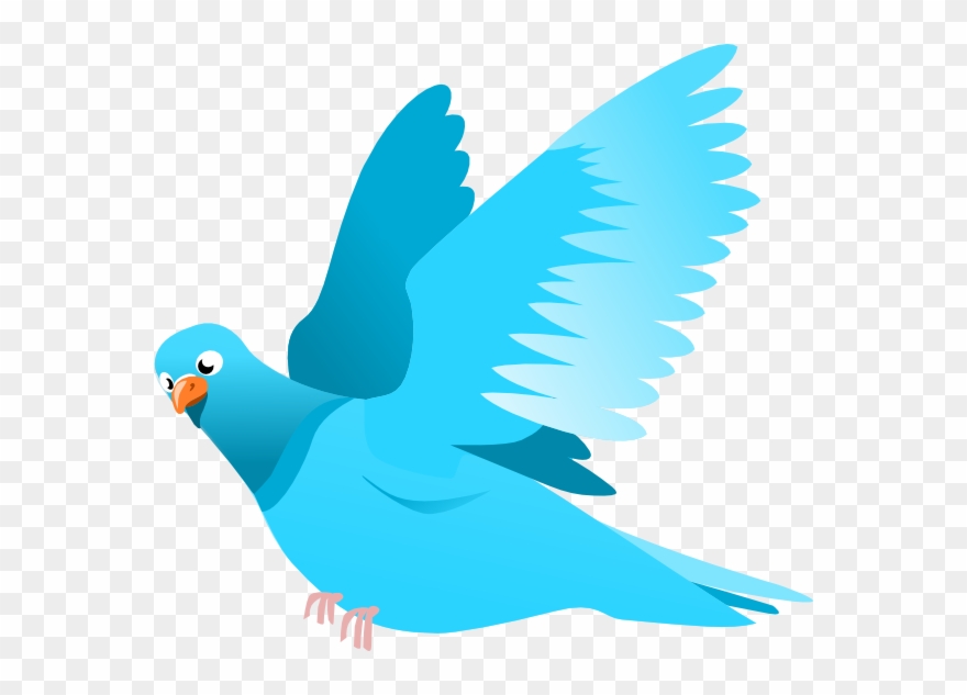 Detail Birds Vector Png Nomer 48