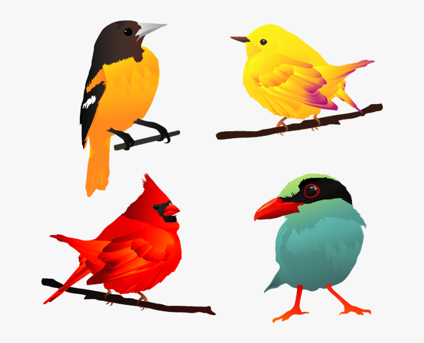 Detail Birds Vector Png Nomer 50