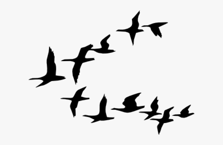 Detail Birds Vector Png Nomer 8