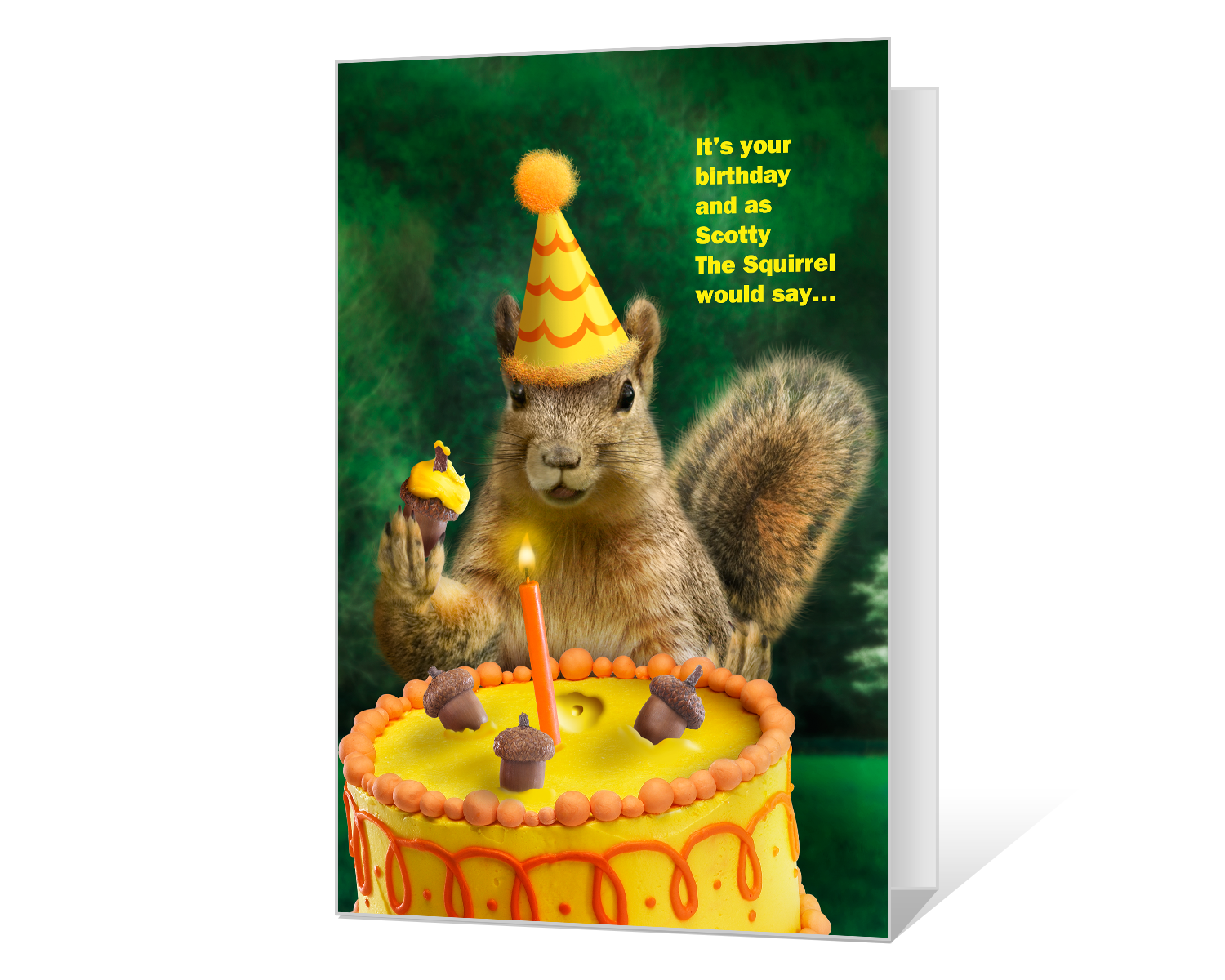 Detail Birthday Card Squirrel Nuts Nomer 19