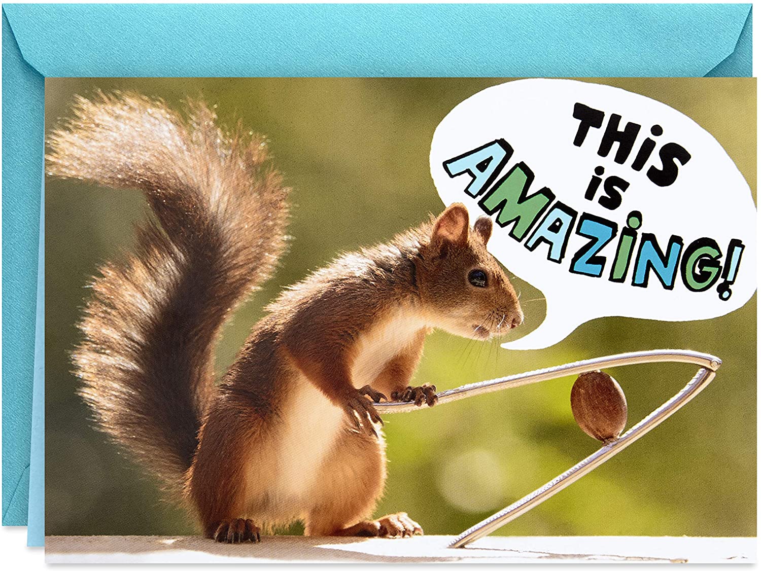 Detail Birthday Card Squirrel Nuts Nomer 6