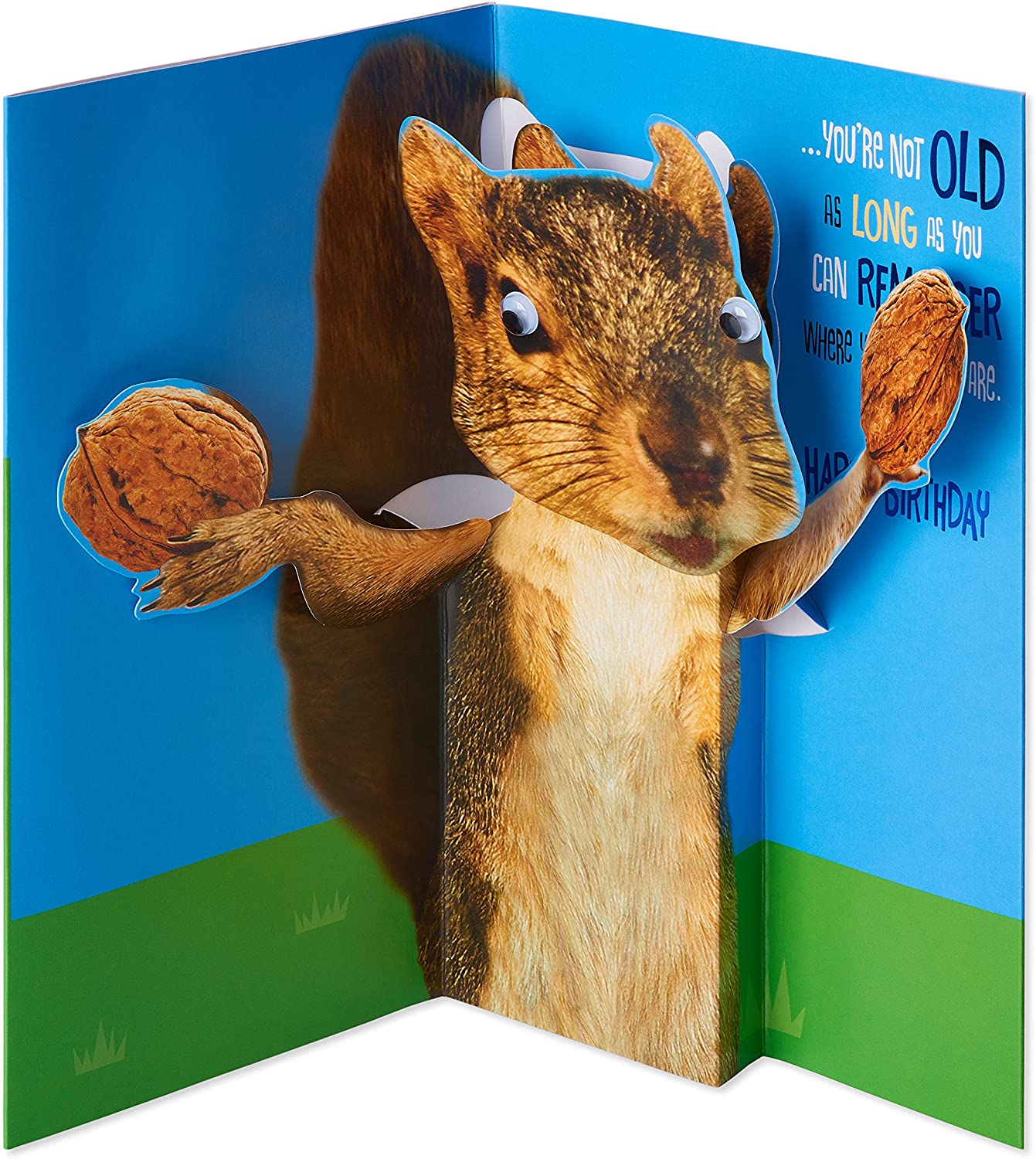 Detail Birthday Card Squirrel Nuts Nomer 7