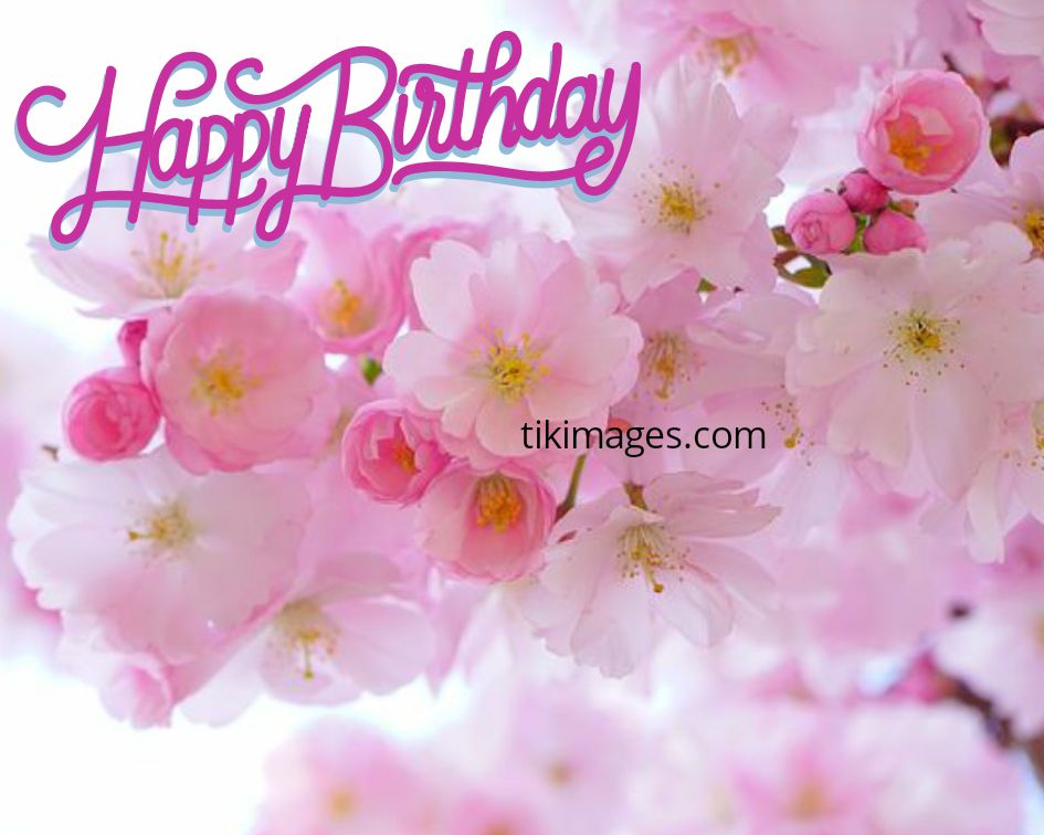 Detail Birthday Flower Images Free Download Nomer 11