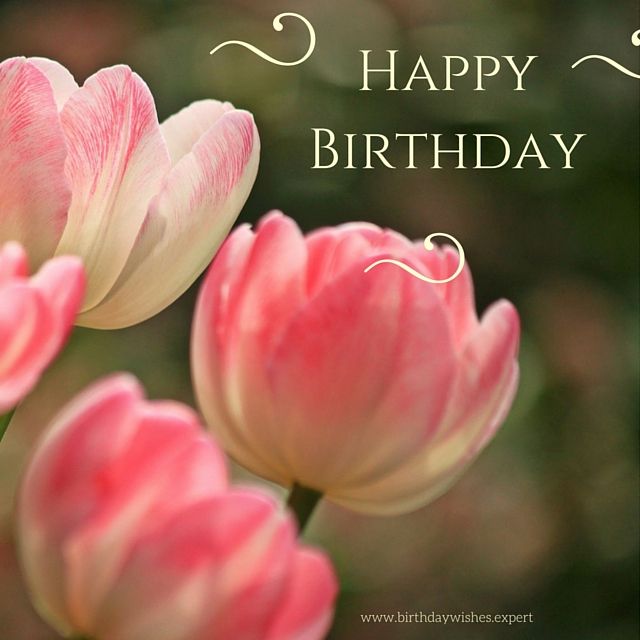 Detail Birthday Flowers Images Free Download Nomer 2