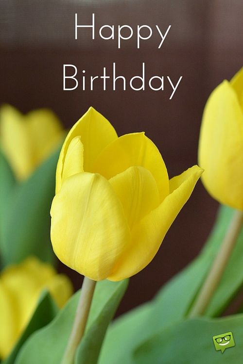 Detail Birthday Flowers Images Free Download Nomer 38