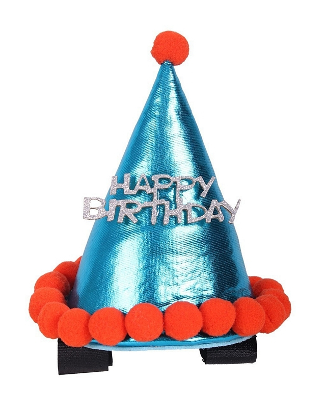 Detail Birthday Hat Images Nomer 27