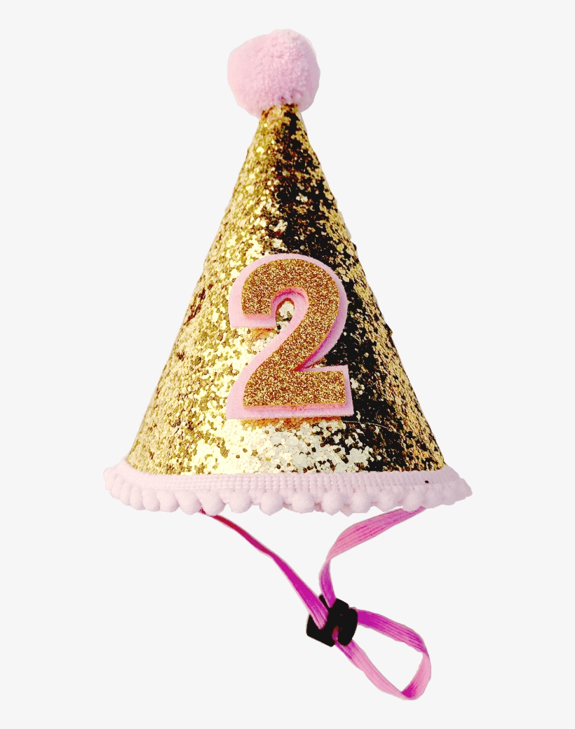 Detail Birthday Hat Transparent Nomer 42