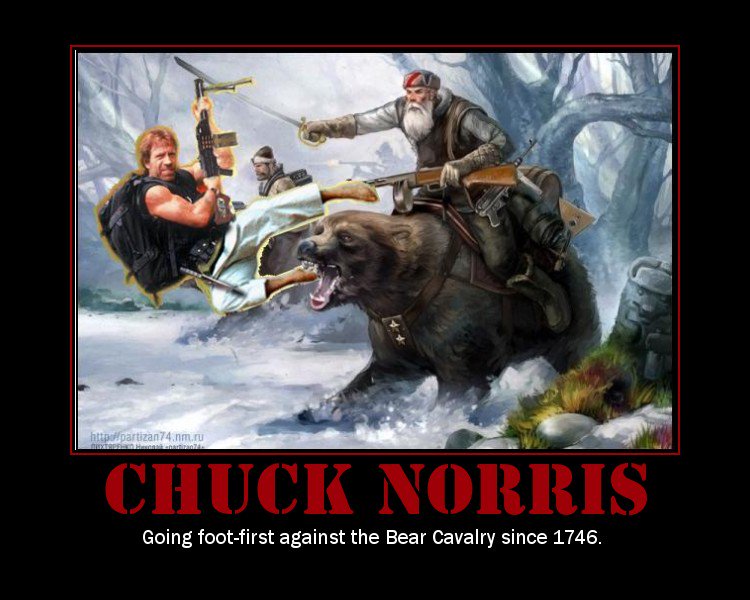 Detail Birthday Meme Chuck Norris Nomer 22