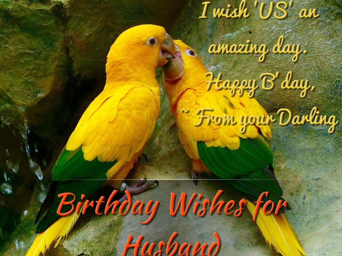 Detail Birthday Quotes For Husband Funny Nomer 27