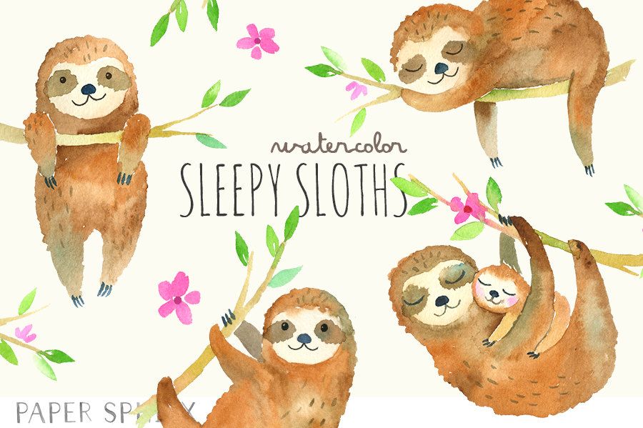 Detail Birthday Sloth Clipart Nomer 47