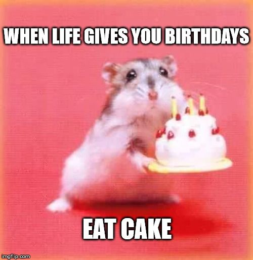 Birthday Wishes Meme Funny - KibrisPDR