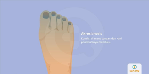 Detail Biru Biru Di Kaki Nomer 2