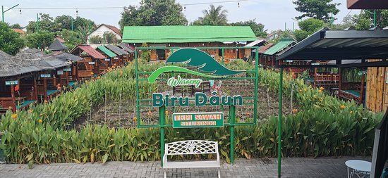 Detail Biru Daun Nomer 13