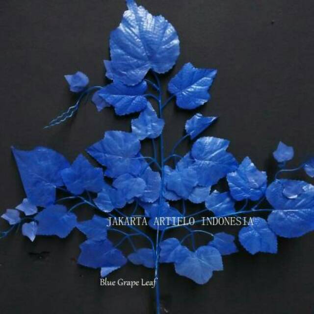 Detail Biru Daun Nomer 23