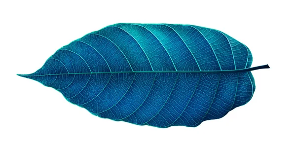 Detail Biru Daun Nomer 8