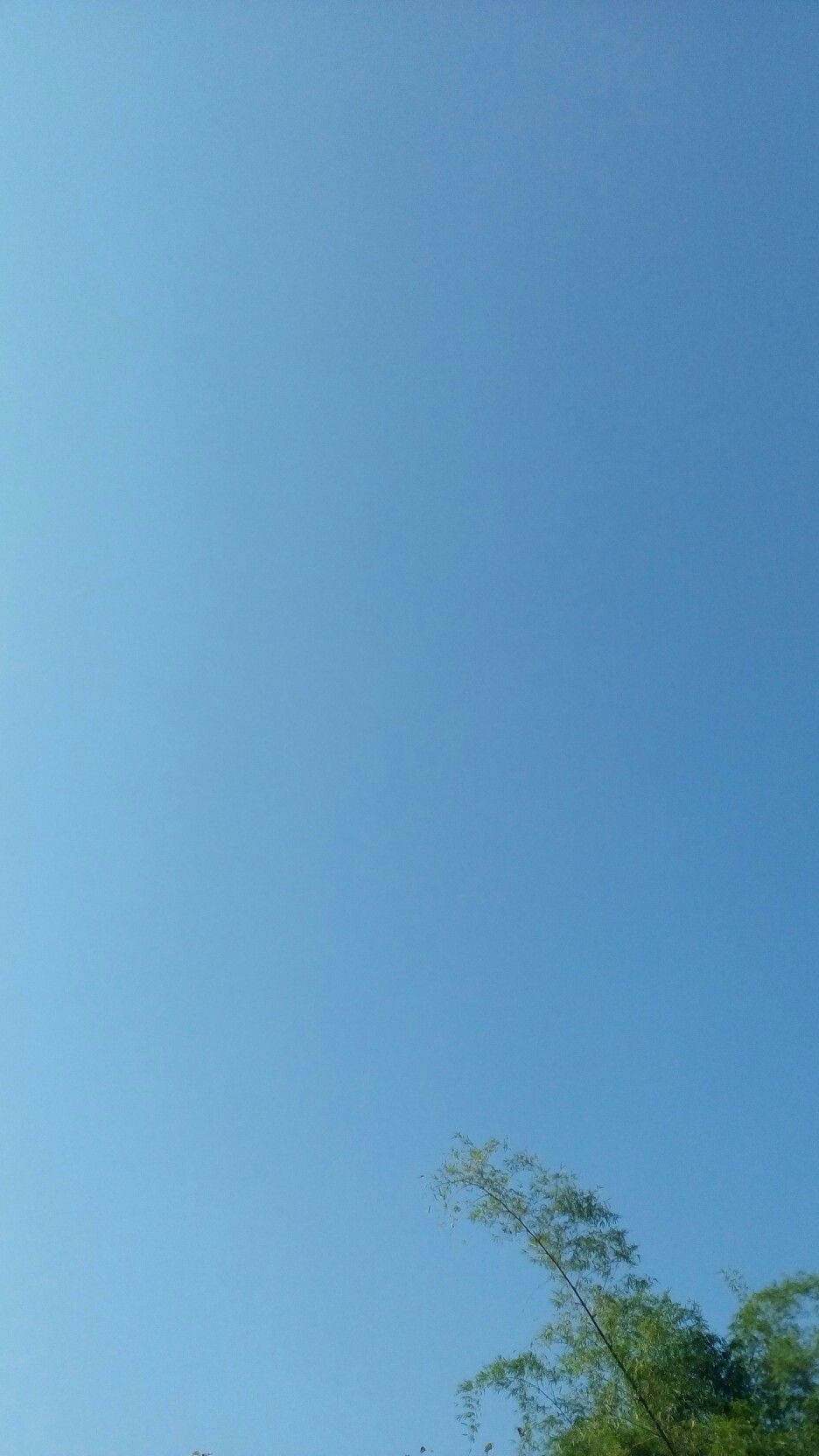 Detail Biru Langit Wallpaper Nomer 16