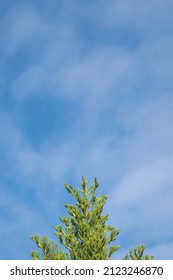 Detail Biru Langit Wallpaper Nomer 23