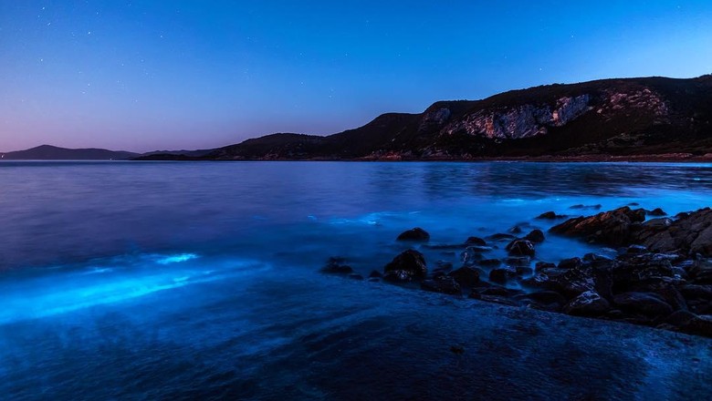 Detail Biru Laut Nomer 24