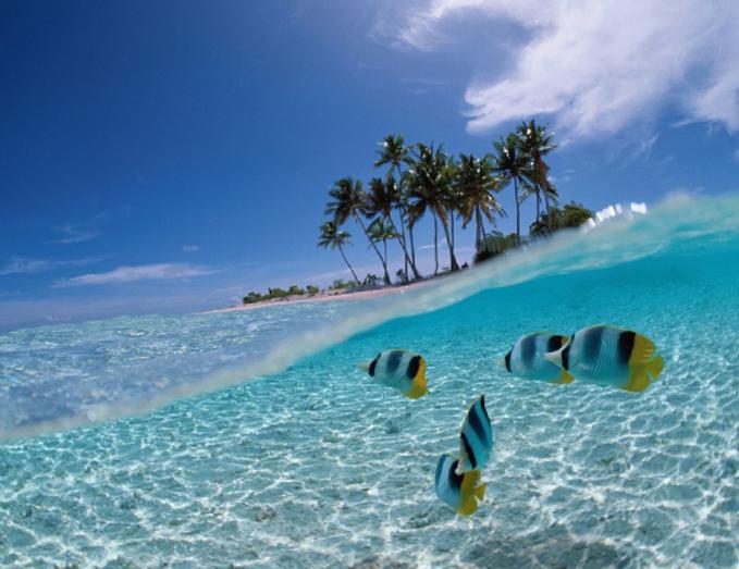 Detail Biru Laut Nomer 33