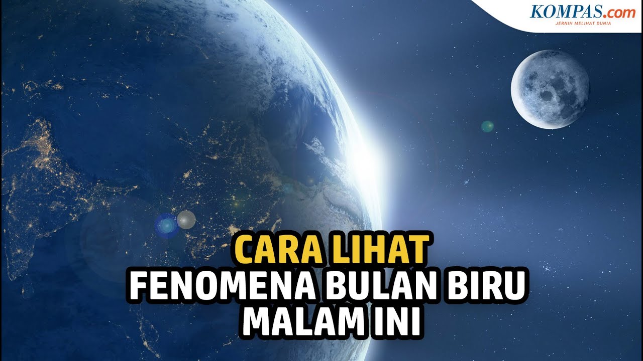 Detail Biru Malam Nomer 29