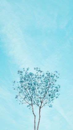 Detail Biru Muda Background Nomer 40