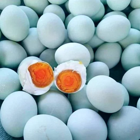 Detail Biru Telur Bebek Nomer 18