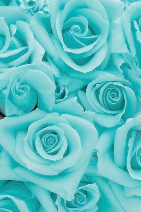 Detail Biru Tosca Wallpaper Nomer 3