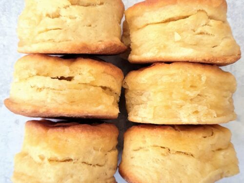 Detail Biscuit Picture Nomer 21