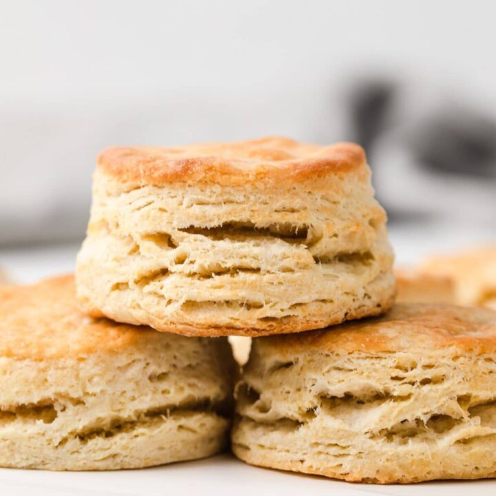 Detail Biscuit Picture Nomer 23