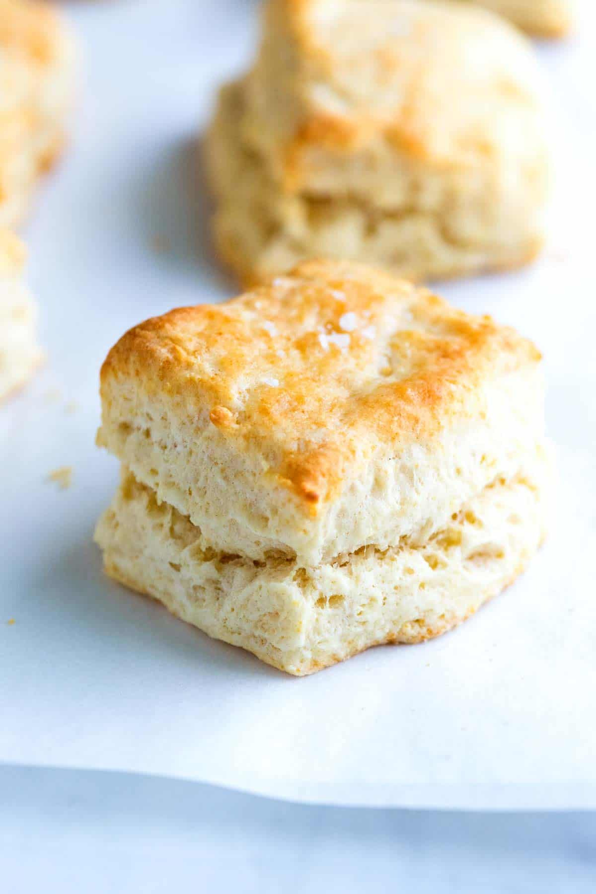 Detail Biscuit Picture Nomer 26