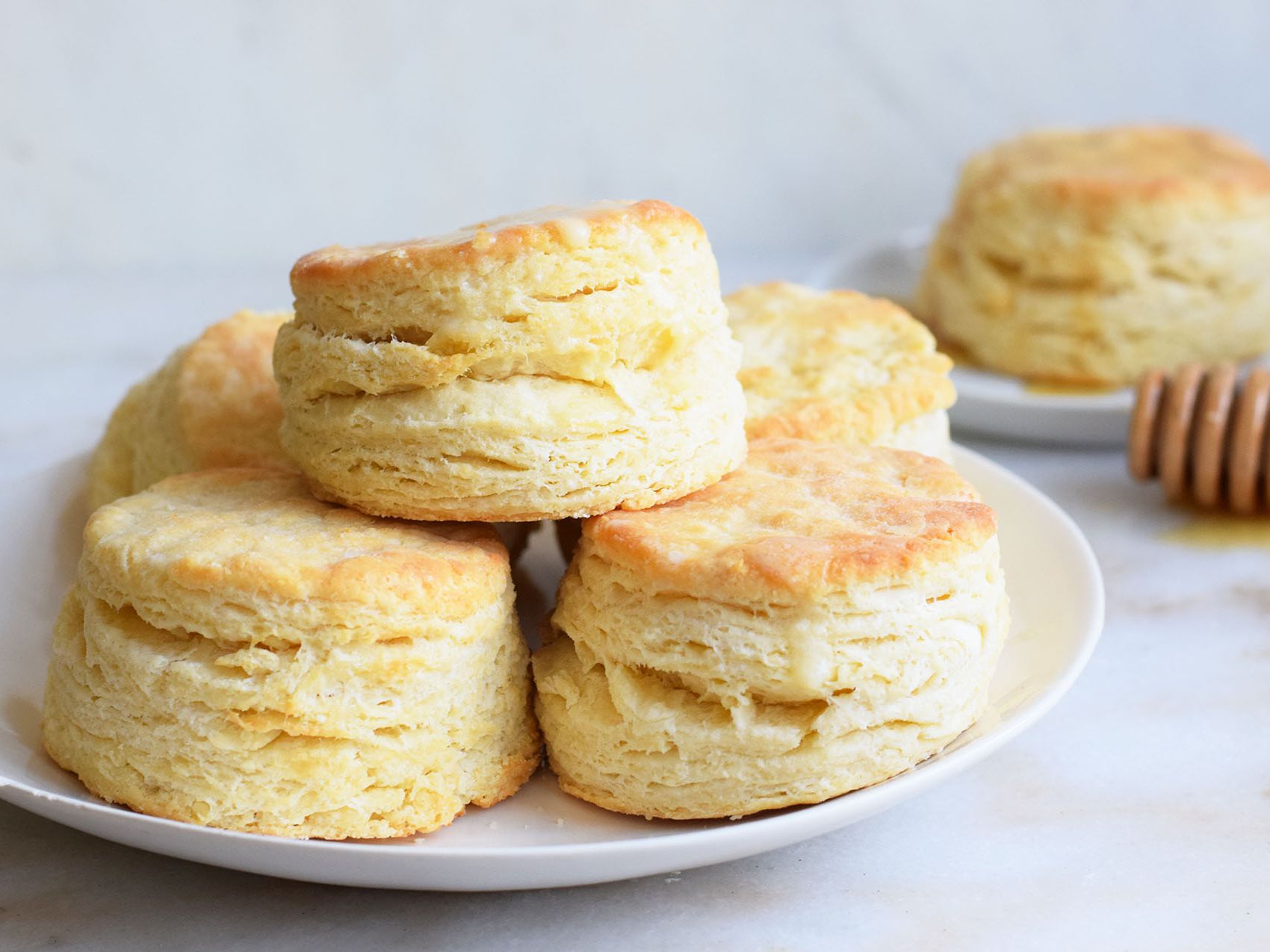 Detail Biscuit Picture Nomer 5
