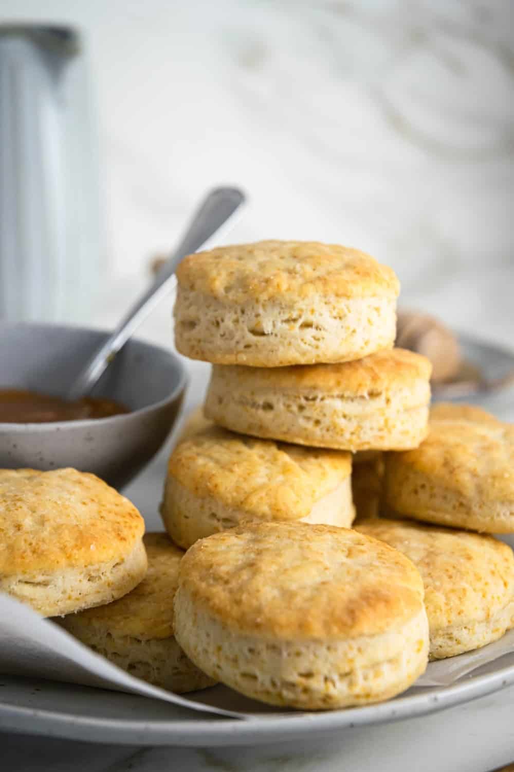 Detail Biscuit Picture Nomer 41