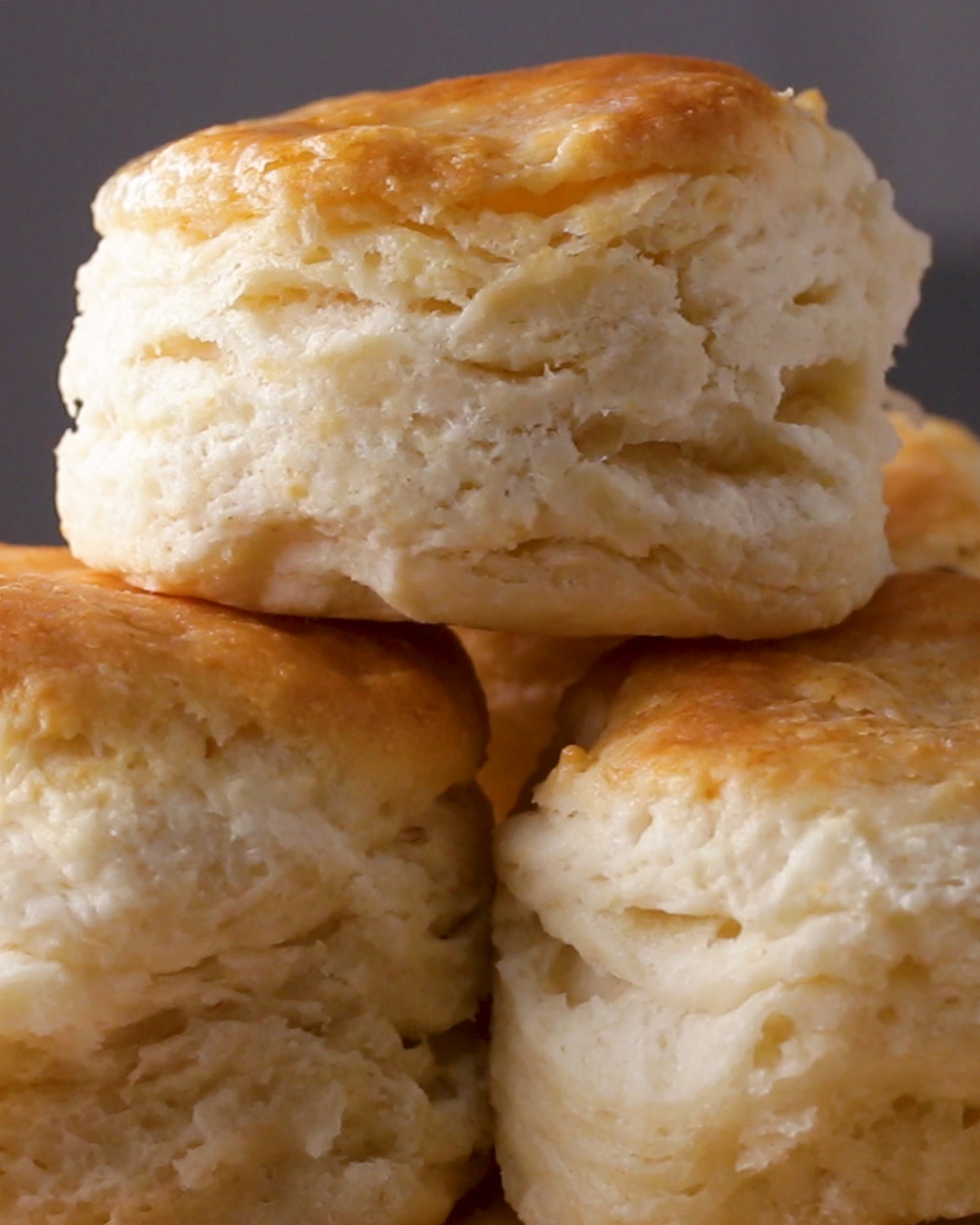 Detail Biscuit Picture Nomer 43