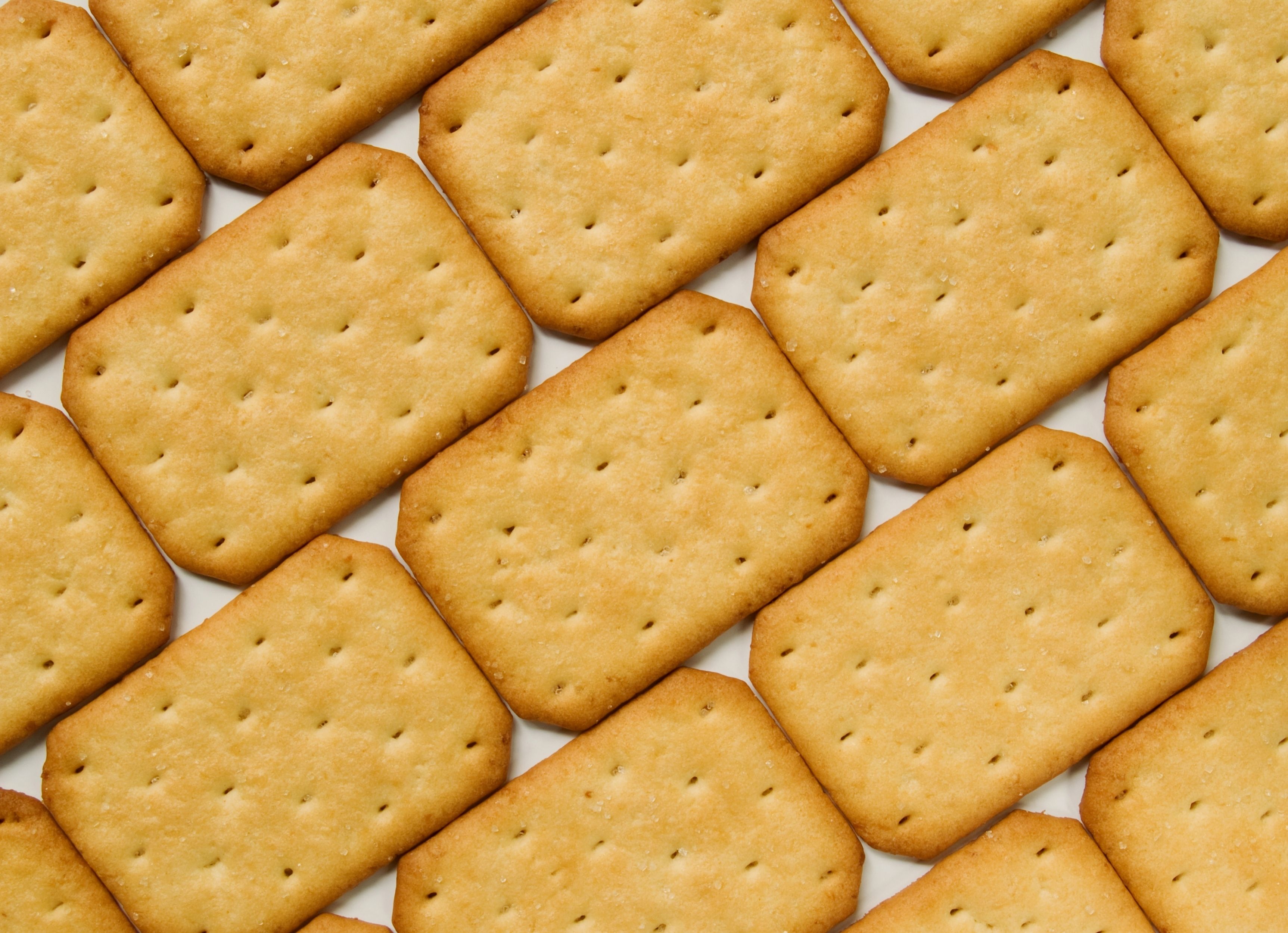 Detail Biscuit Wallpaper Nomer 16