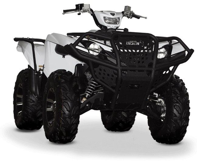 Bison Brush Guard - KibrisPDR