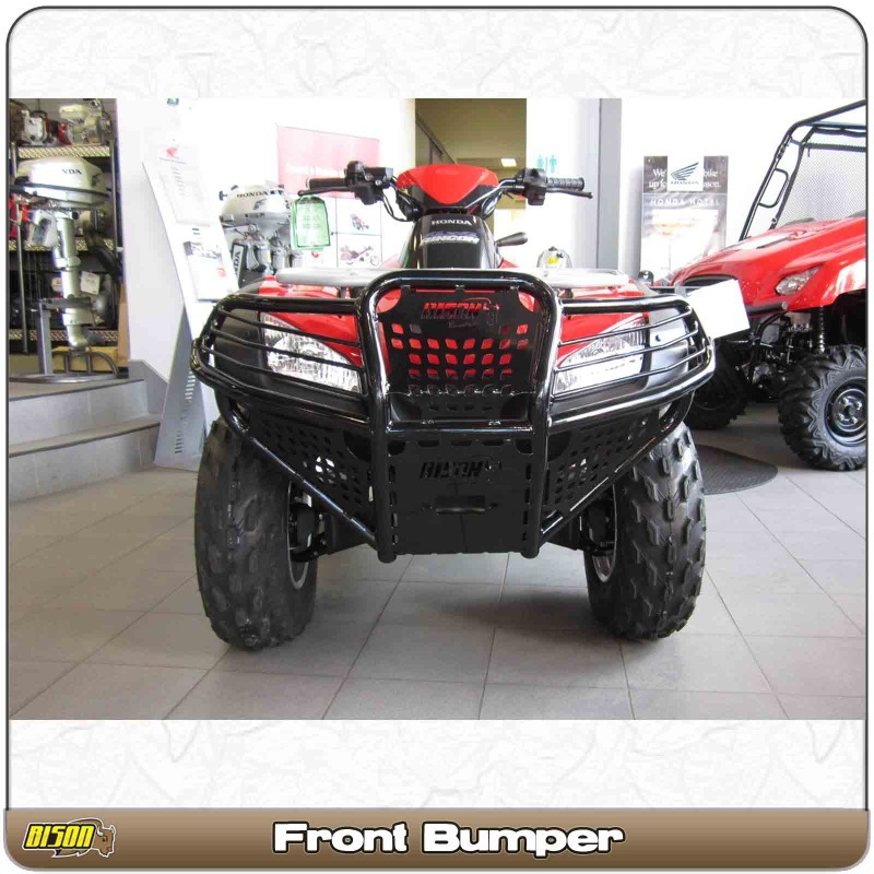 Detail Bison Brush Guard Nomer 4