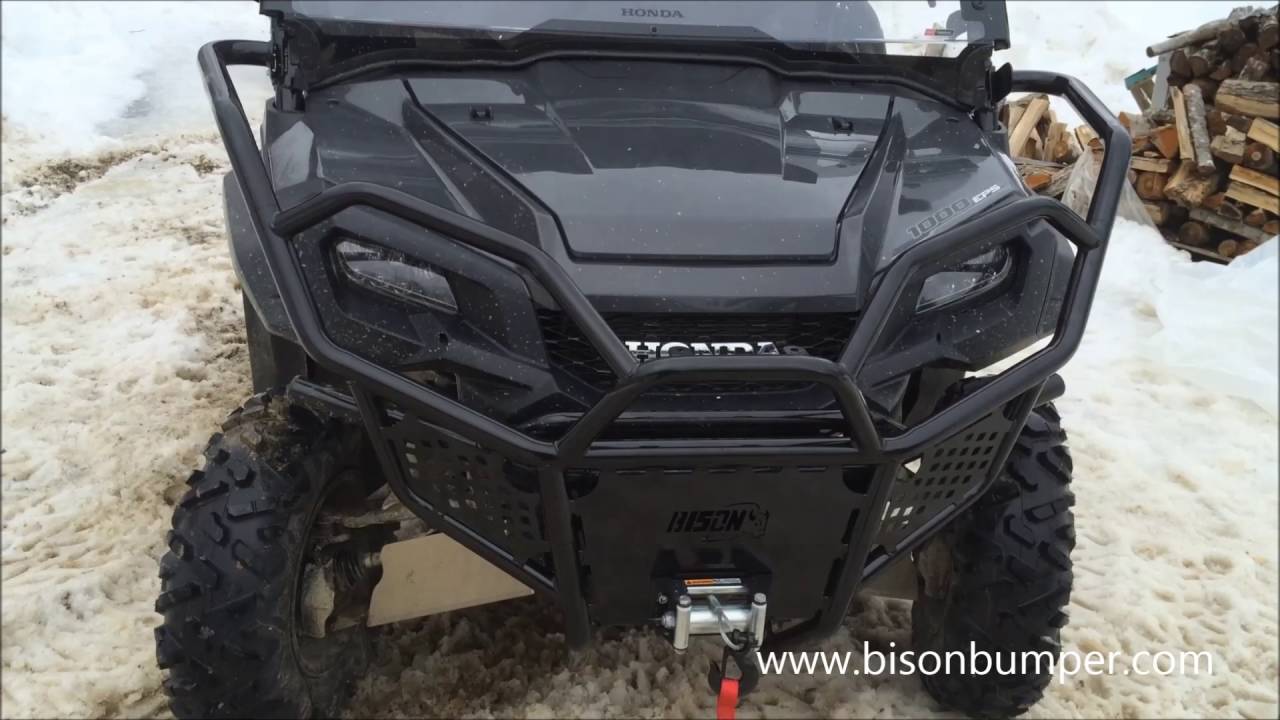 Detail Bison Brush Guard Nomer 42
